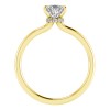 Secret Halo Solitaire Ring Setting
